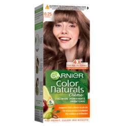 GARNIER NATURALS VOPSEA PAR 6.25 CASTANIU