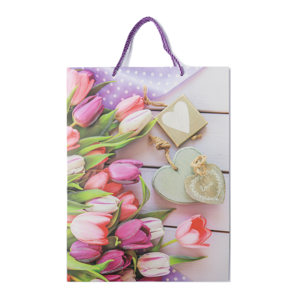 PUNGA CADOU 31X41X12CM GL1-7