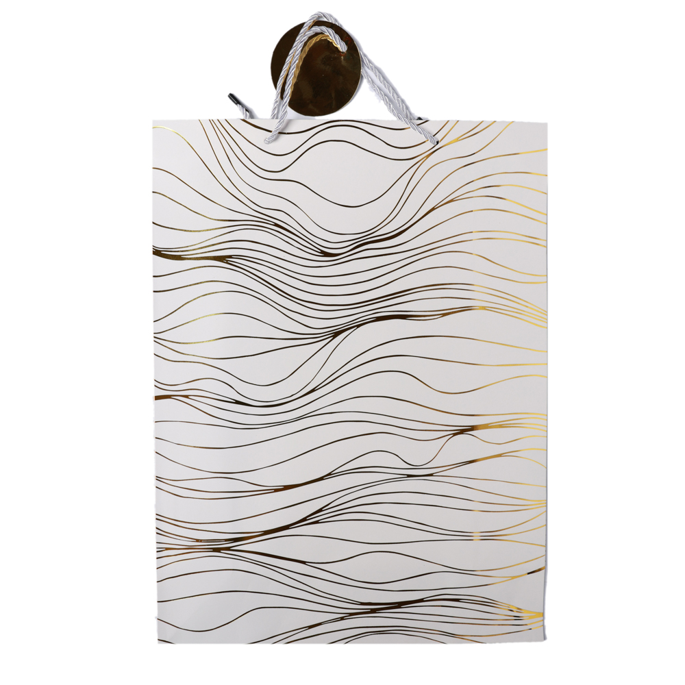 PUNGA CADOU 31X41X12CM WAVE GC21-33