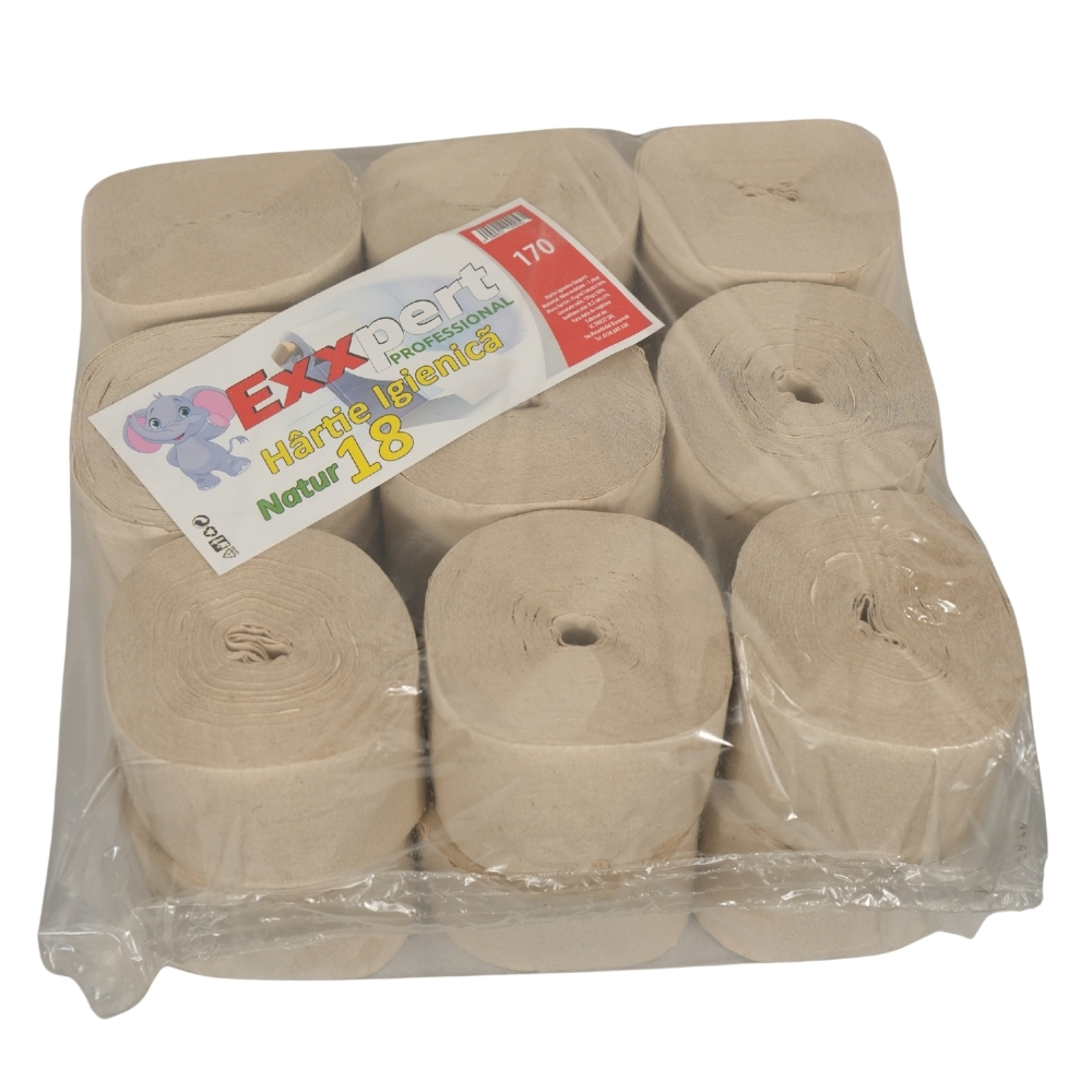EXXPERT HARTIE IGIENICA RECICLATA GRI 170G 18ROLE