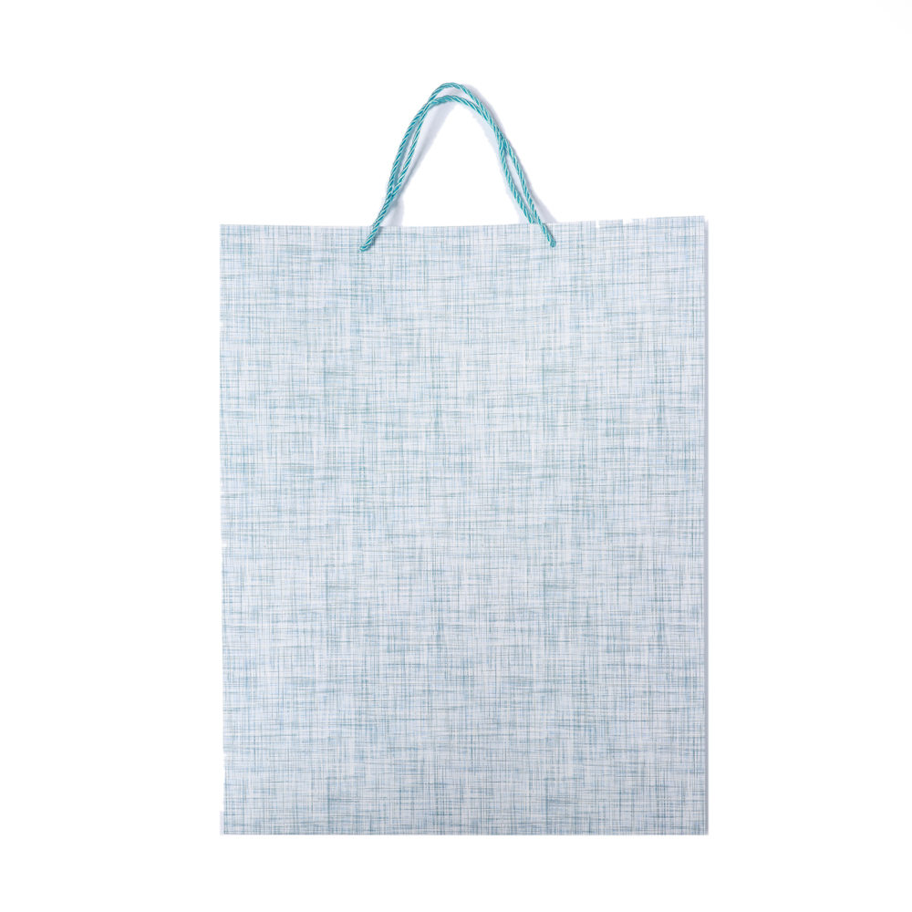 PUNGA CADOU 47X35X15CM GL1-9