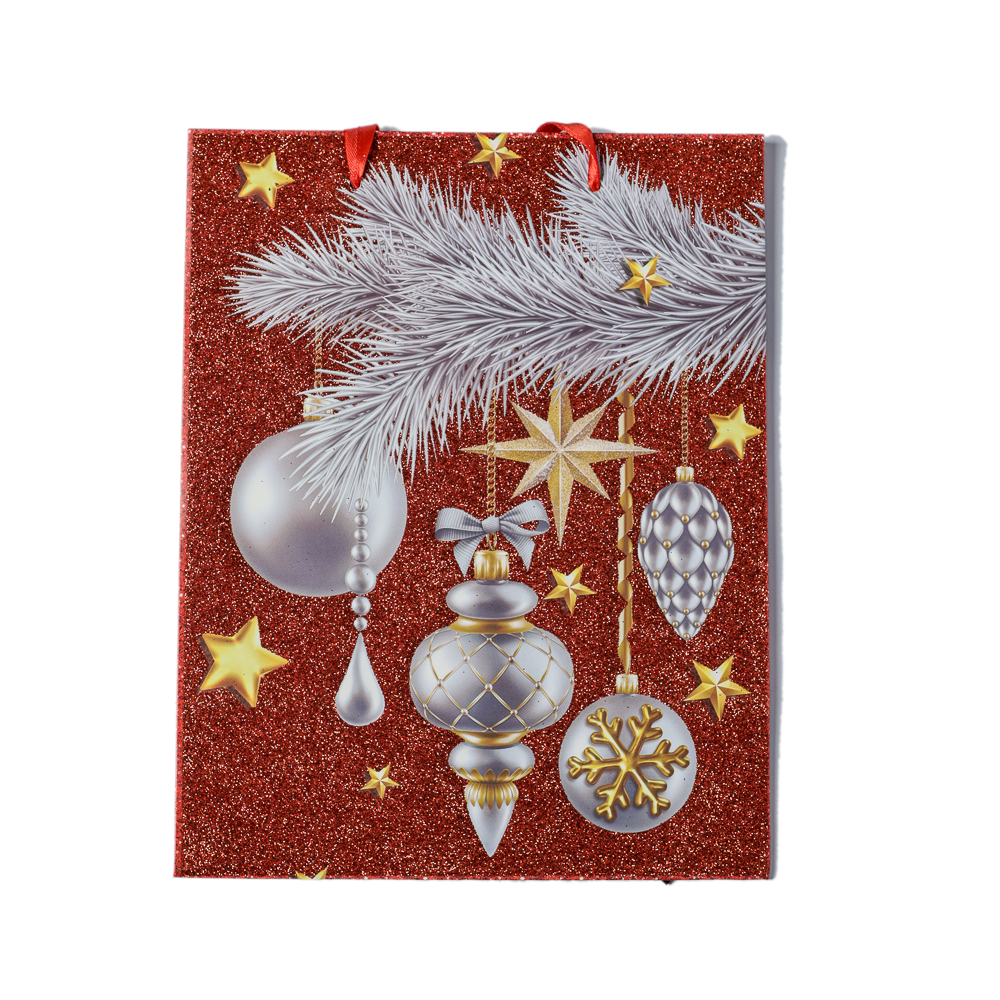 PUNGA CADOU 18X23X10CM CRACIUN GC21-7