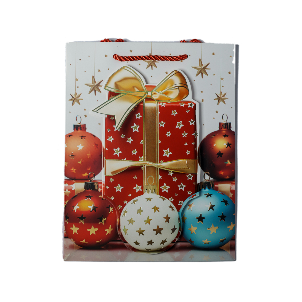 PUNGA CADOU 18X23X10CM GLOBURI GC21-34