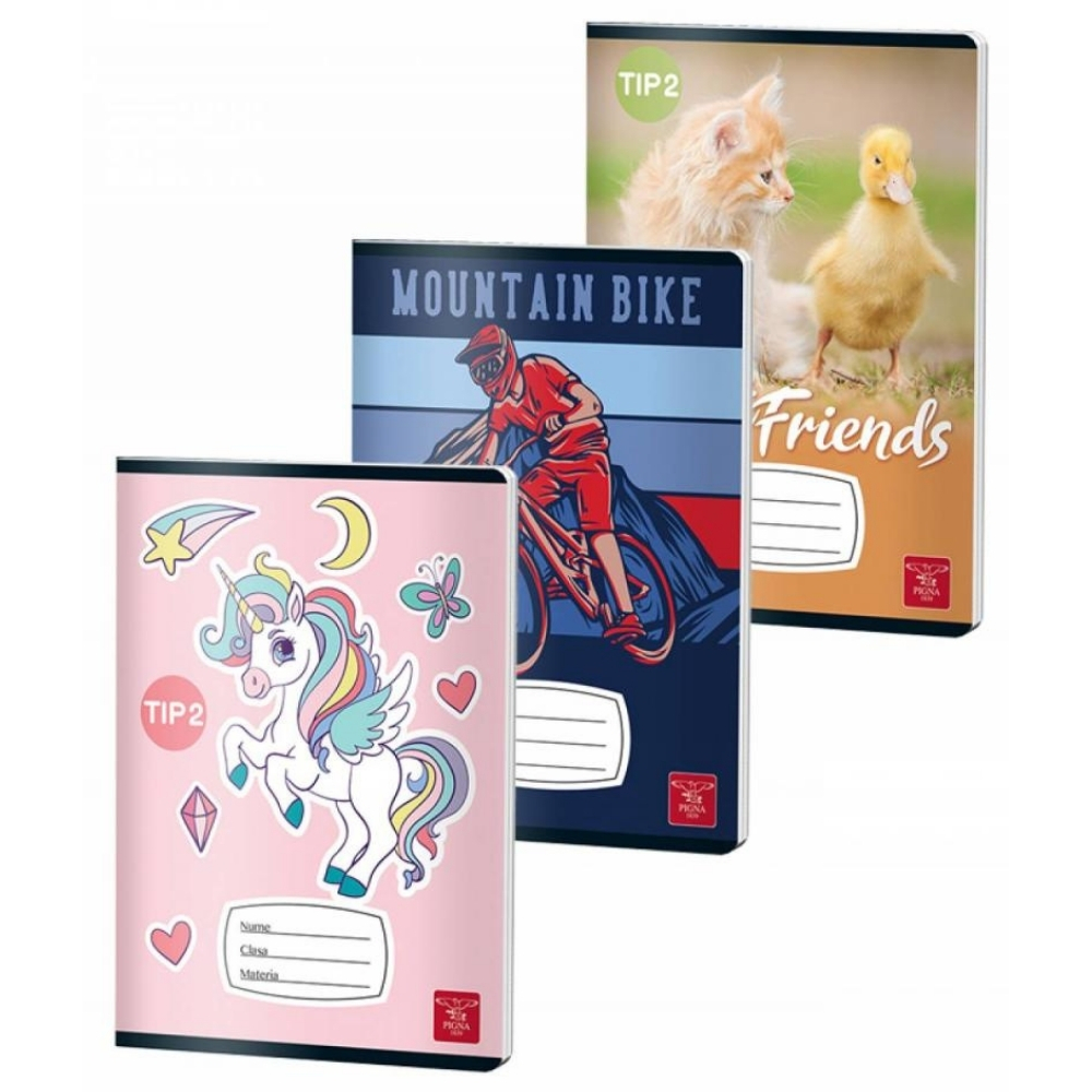 PIGNA CAIET TIP 2 24FILE