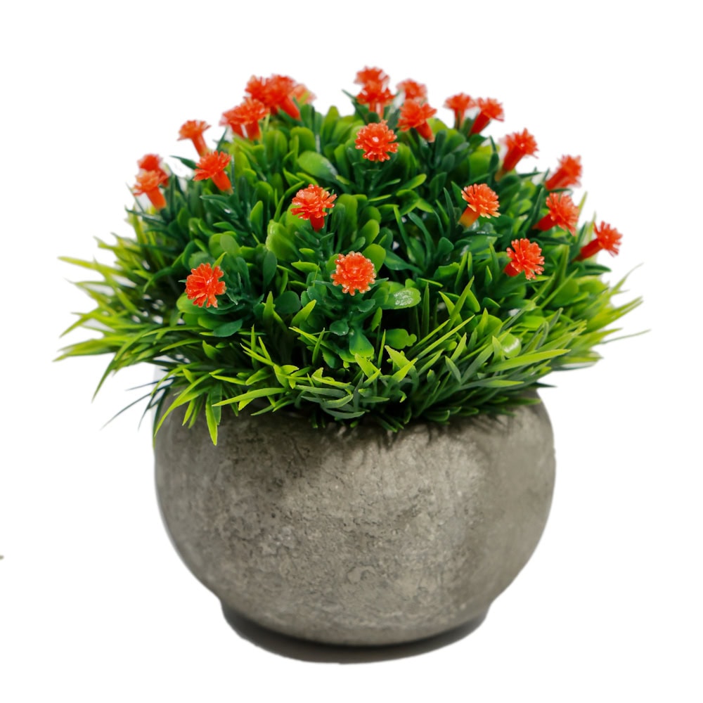 PLANTE DECORATIVE IN GHIVECI MIX CIRCLE G65-1