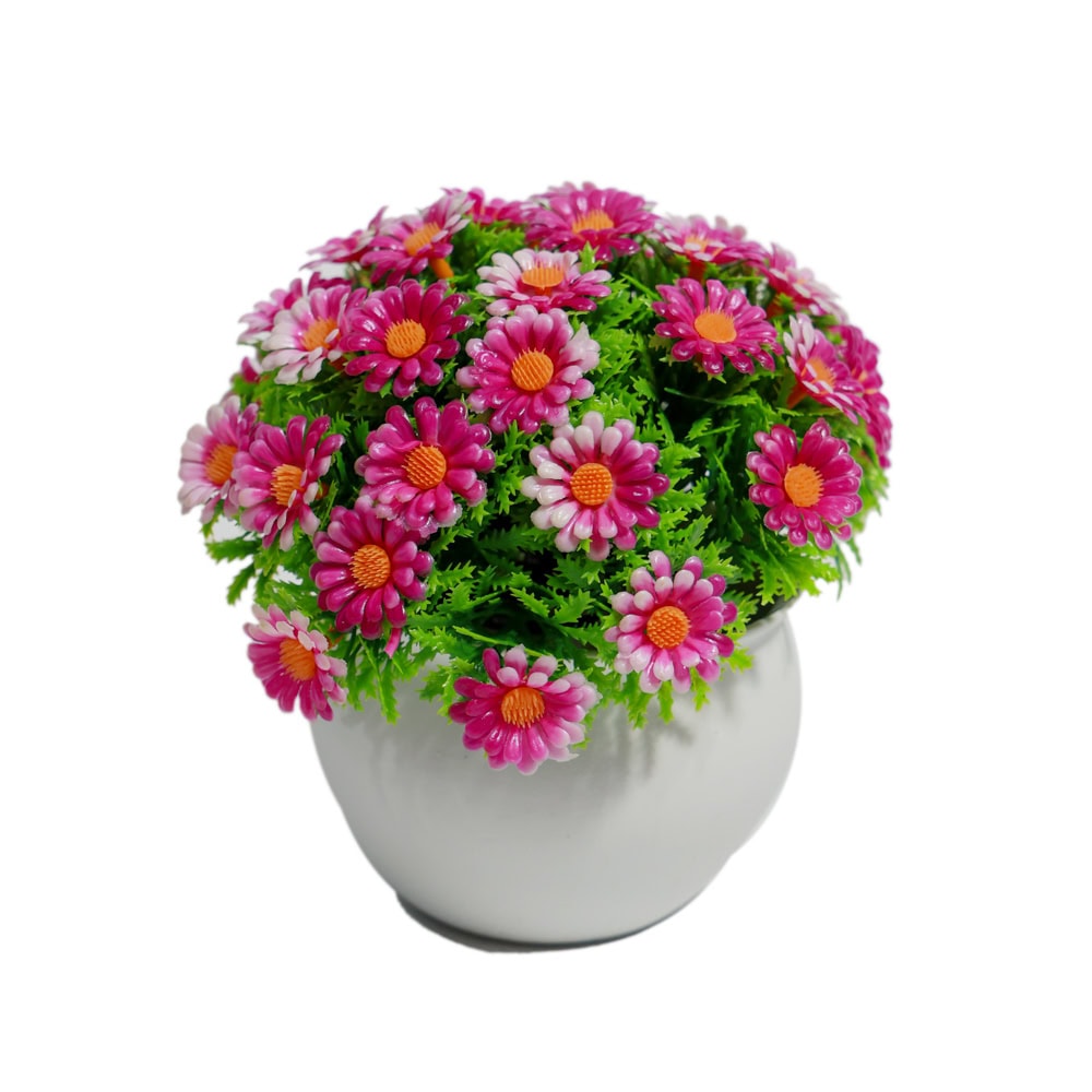 PLANTE DECORATIVE IN GHIVECI CRIZANTEMA G65-2