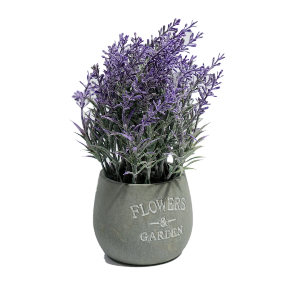 PLANTE DECORATIVE IN GHIVECI LAVANDA G65-3