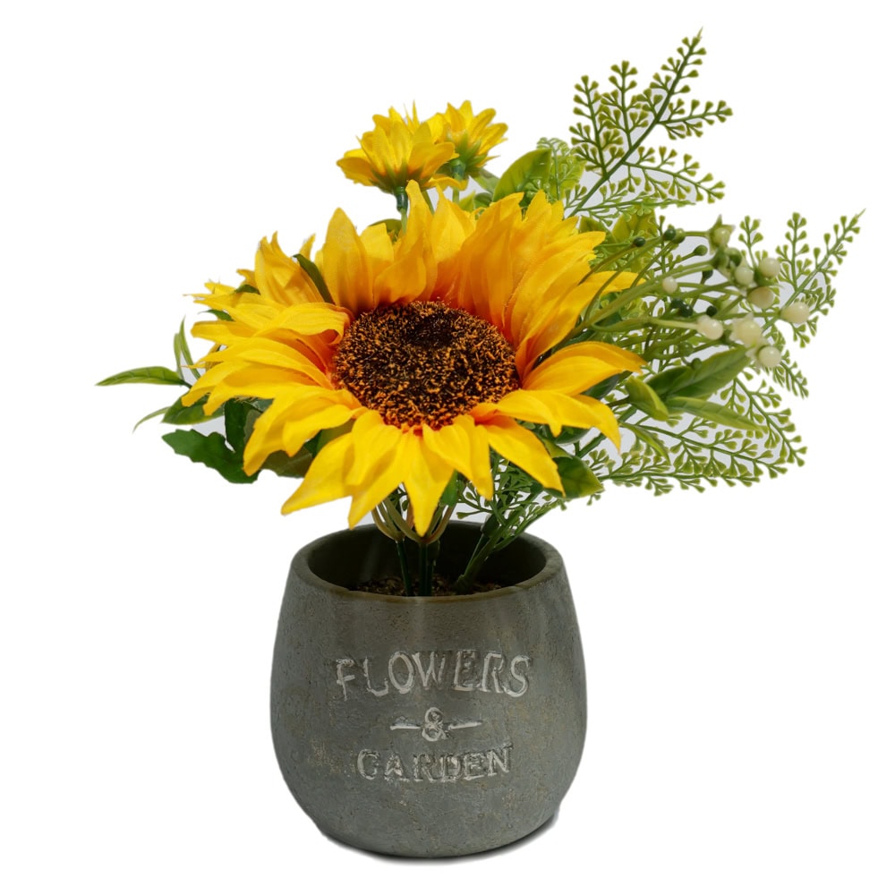 PLANTE DECORATIVE IN GHIVECI FLOAREA SOARELUI G65-4