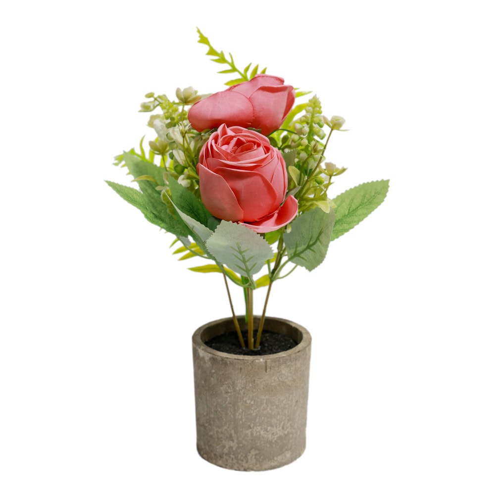 PLANTE DECORATIVE IN GHIVECI TRANDAFIR G65-5