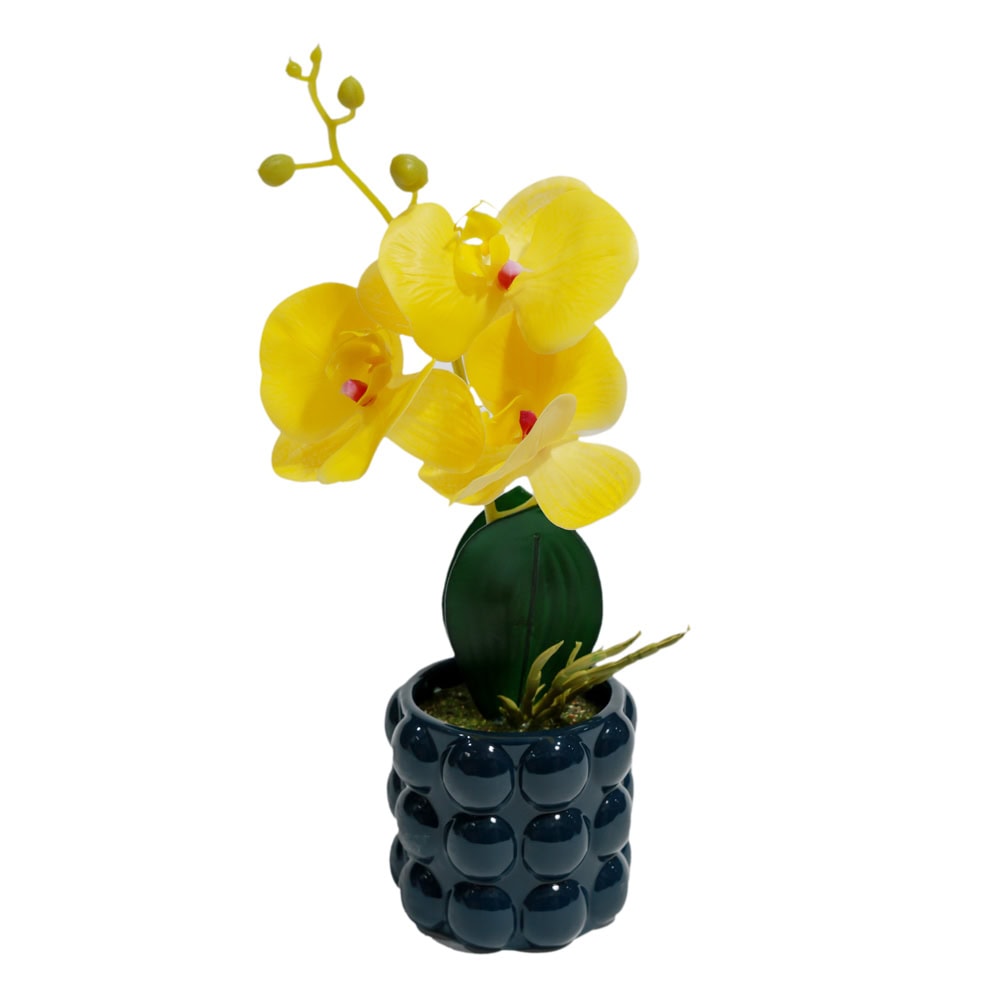 PLANTE DECORATIVE IN GHIVECI ORHIDEE MIX G65-6