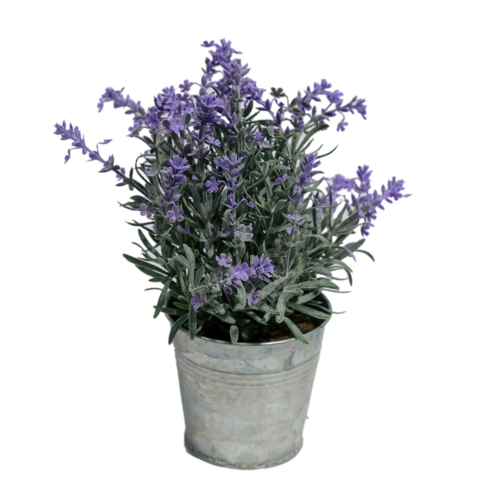 PLANTE DECORATIVE IN GHIVECI METALIC LAVANDA G65-8