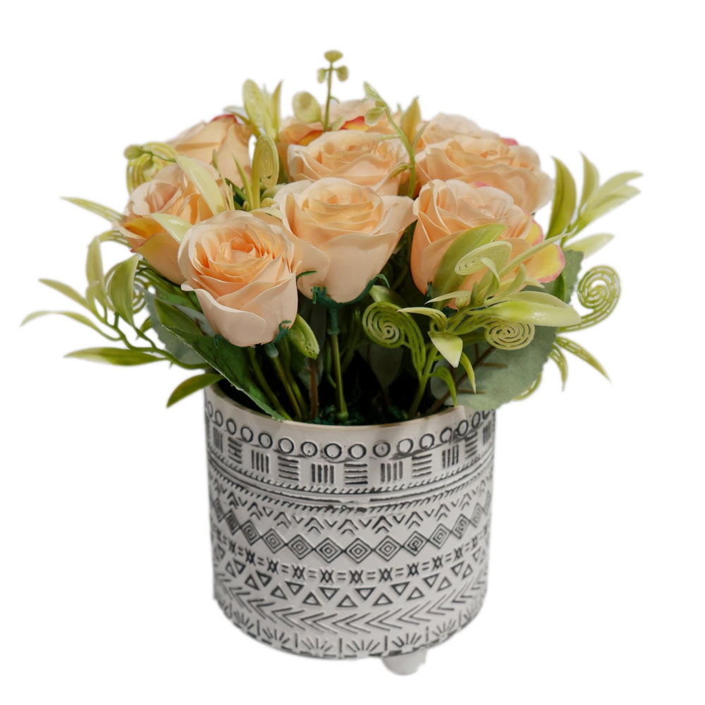 PLANTE DECORATIVE IN GHIVECI TRANDAFIRI 24CM G64-1