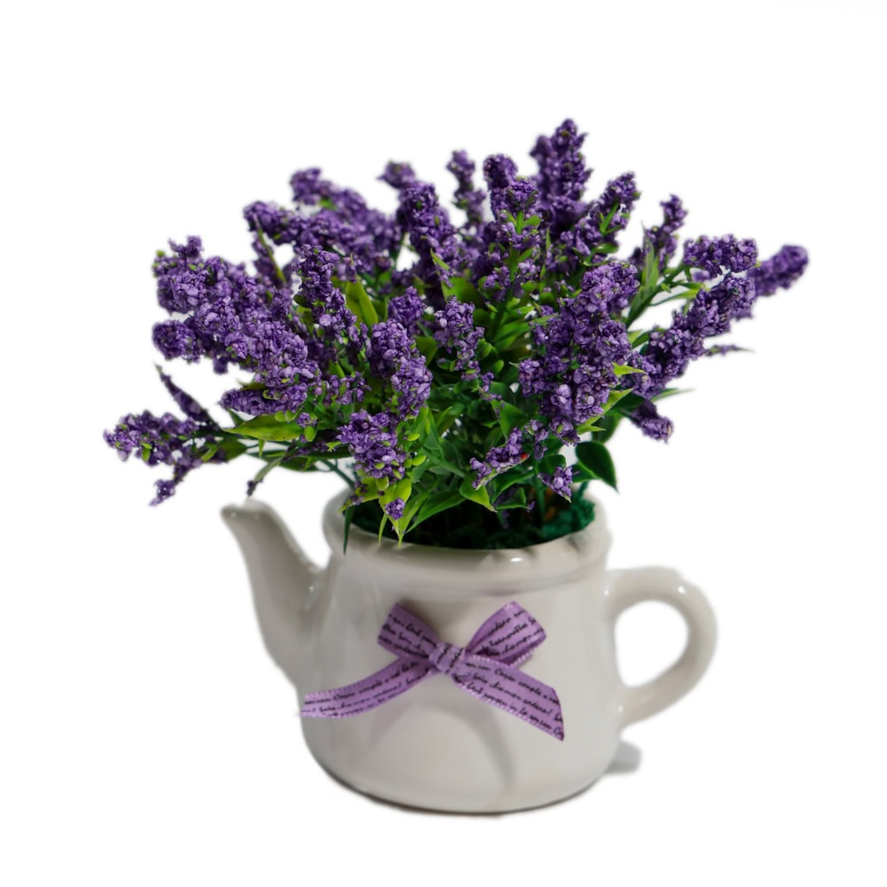 PLANTE DECORATIVE IN GHIVECI FUNDITA LAVANDA G64-4