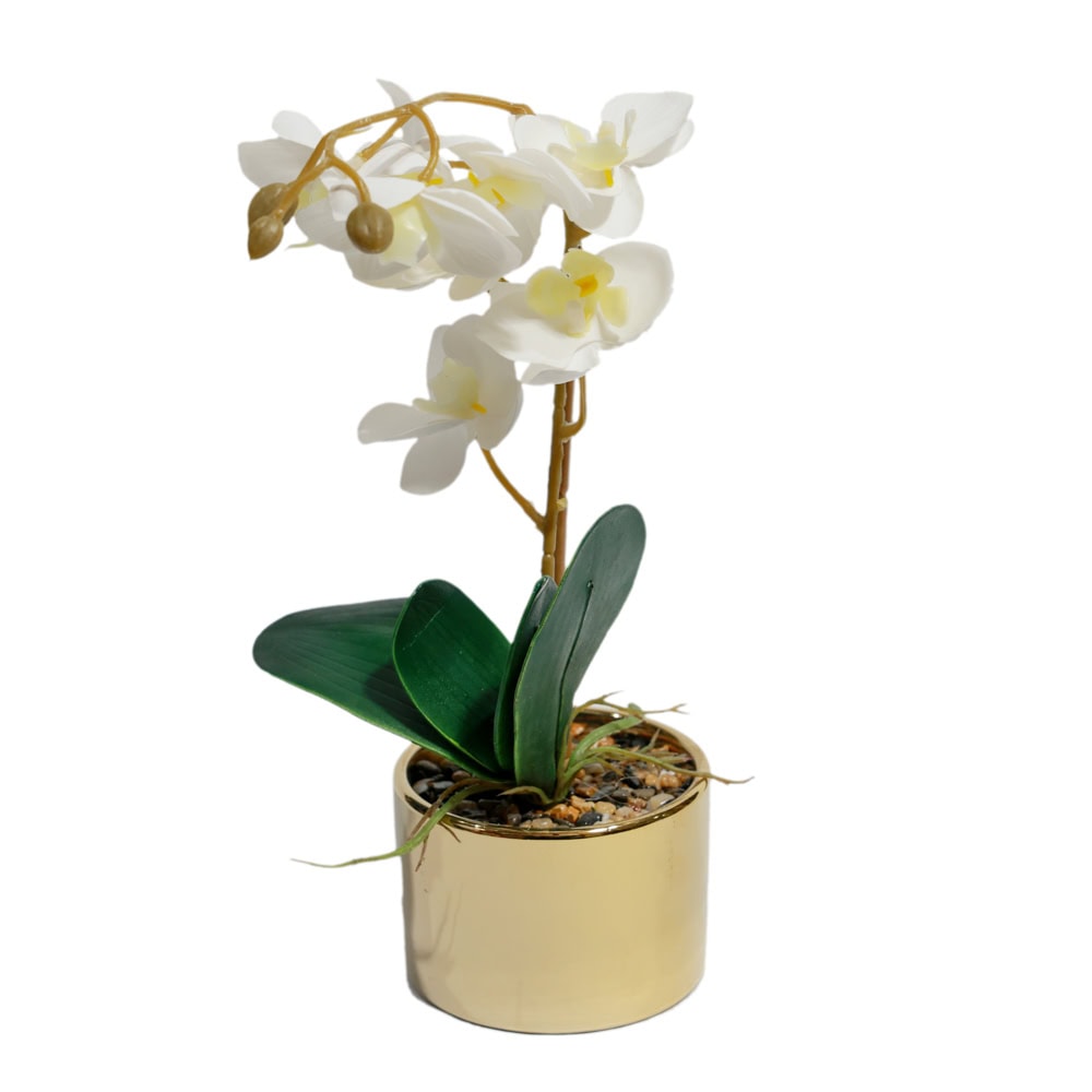 PLANTE DECORATIVE IN GHIVECI GOLD ORHIDEE MIX G64-8