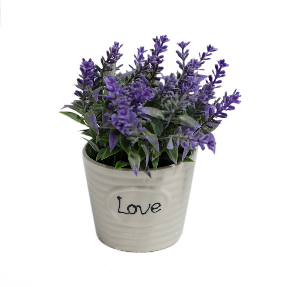 PLANTE DECORATIVE IN GHIVECI LAVANDA 15CM G64-11