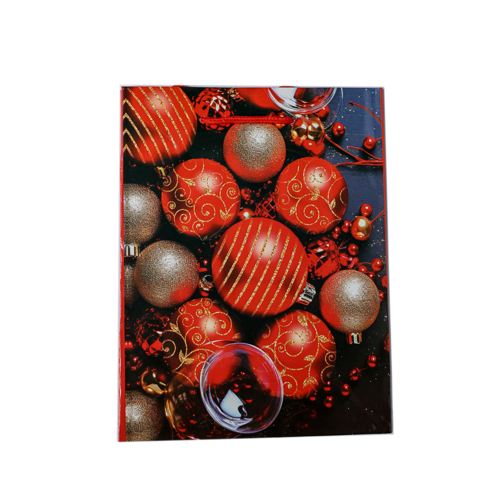 PUNGA CADOU CRACIUN 18X24X8CM GE3-3