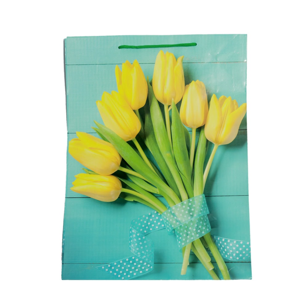 PUNGA CADOU FLORI 32X44X11CM GE3-25