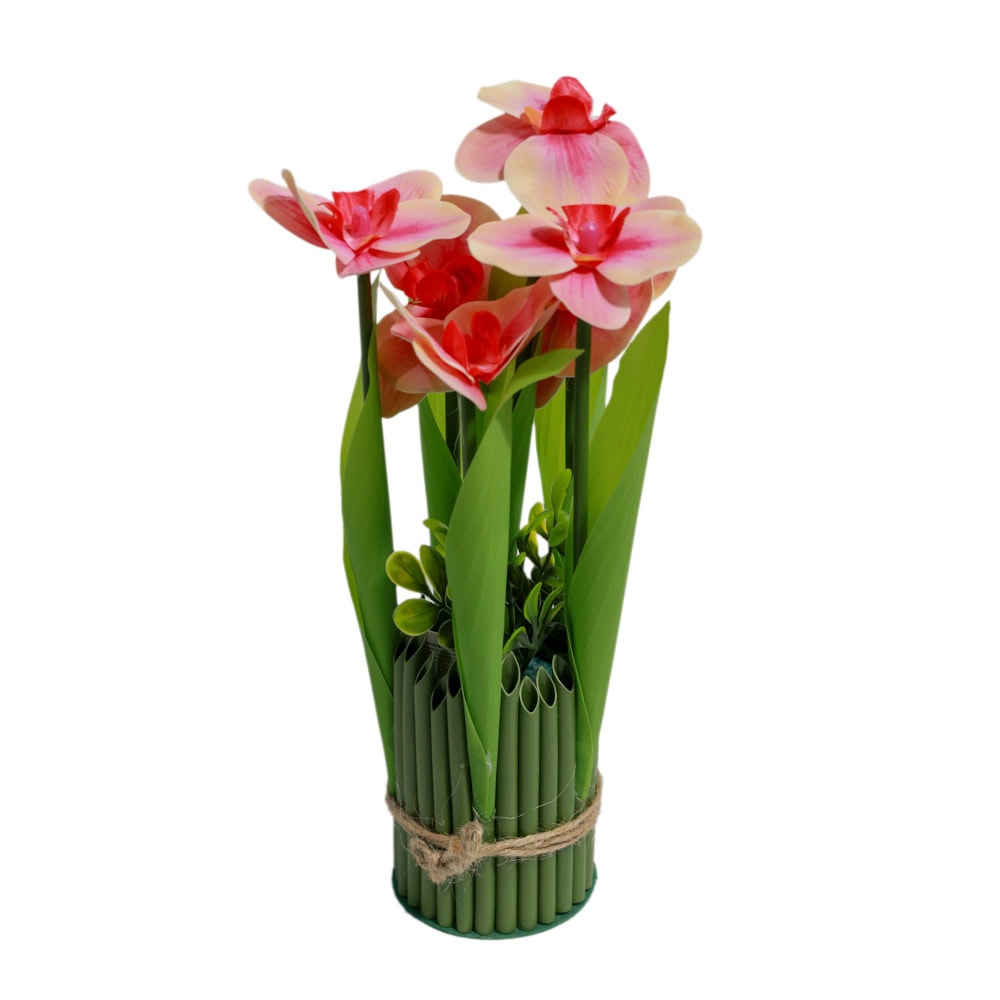PLANTE DECORATIVE IN GHIVECI G66-2