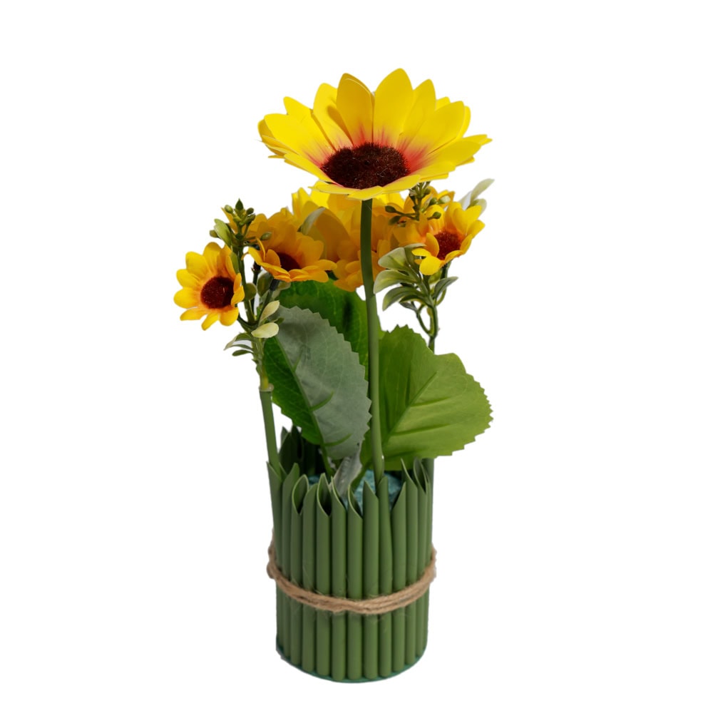 PLANTE DECORATIVE IN GHIVECI G66-3